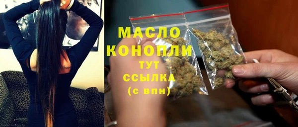 крисы Няндома