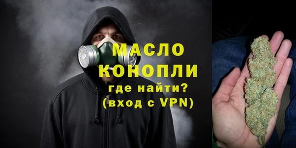 крисы Няндома