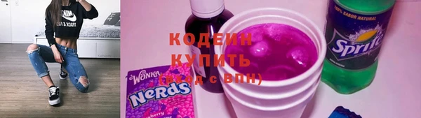 крисы Няндома