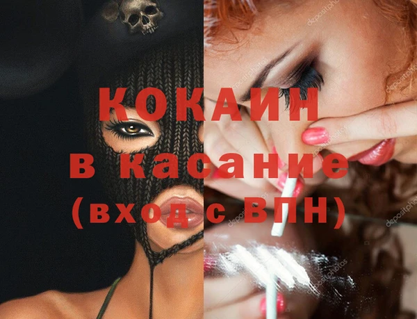 крисы Няндома