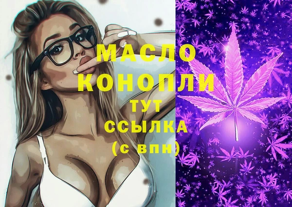крисы Няндома