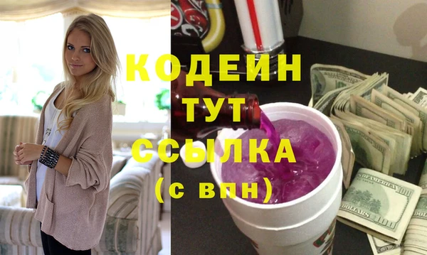 крисы Няндома
