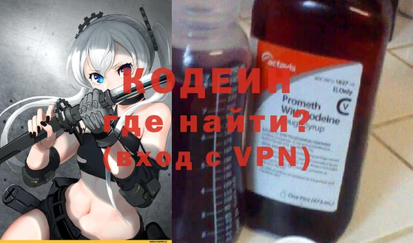 крисы Няндома