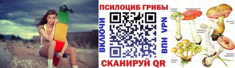 darknet состав  Костомукша  Псилоцибиновые грибы мицелий  гидра как зайти 