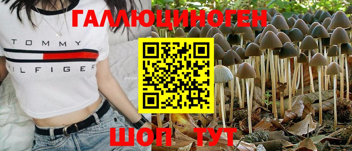 Псилоцибиновые грибы ЛСД Костомукша