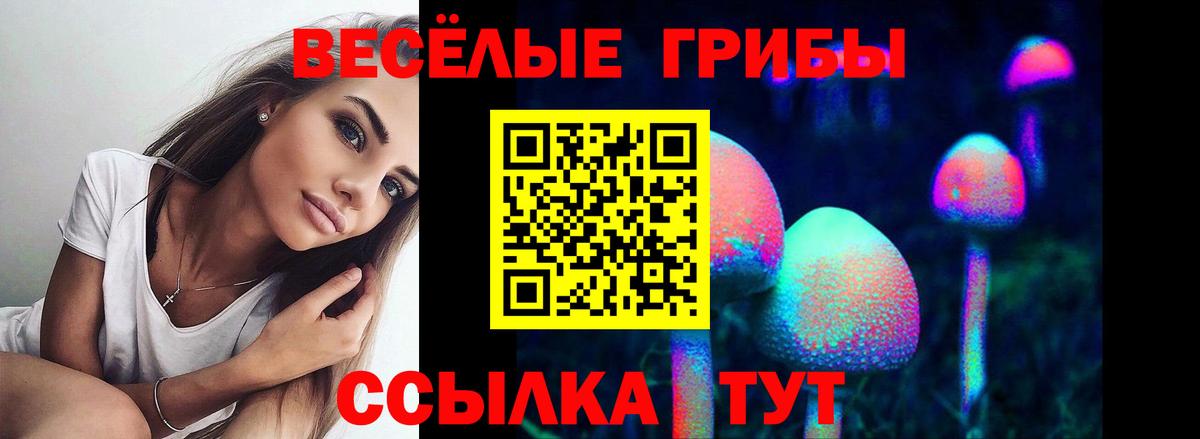 Галлюциногенные грибы MAGIC MUSHROOMS  Вход с VPN  Псилоцибиновые грибы мухоморы  Костомукша 