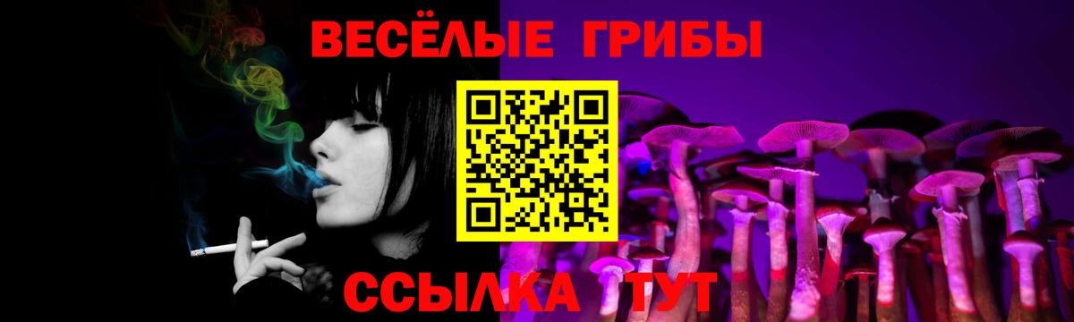 Галлюциногенные грибы GOLDEN TEACHER  Костомукша 