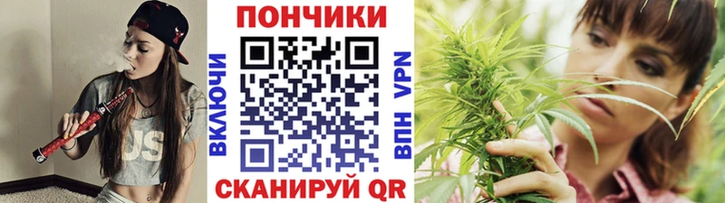закладки  Костомукша  МАРИХУАНА конопля 